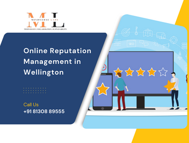 Online Reputation Management in Wellington