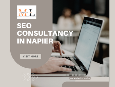 SEO Consultancy in Napier